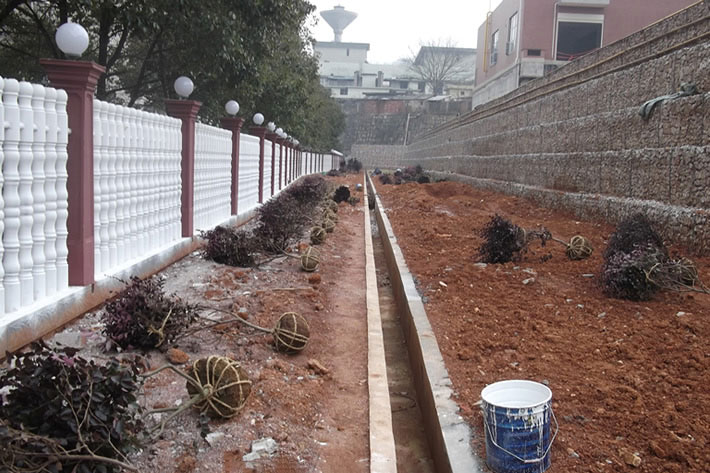 长沙道路绿化小区绿化1