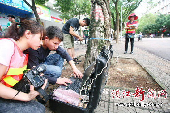 广东行道树病虫害